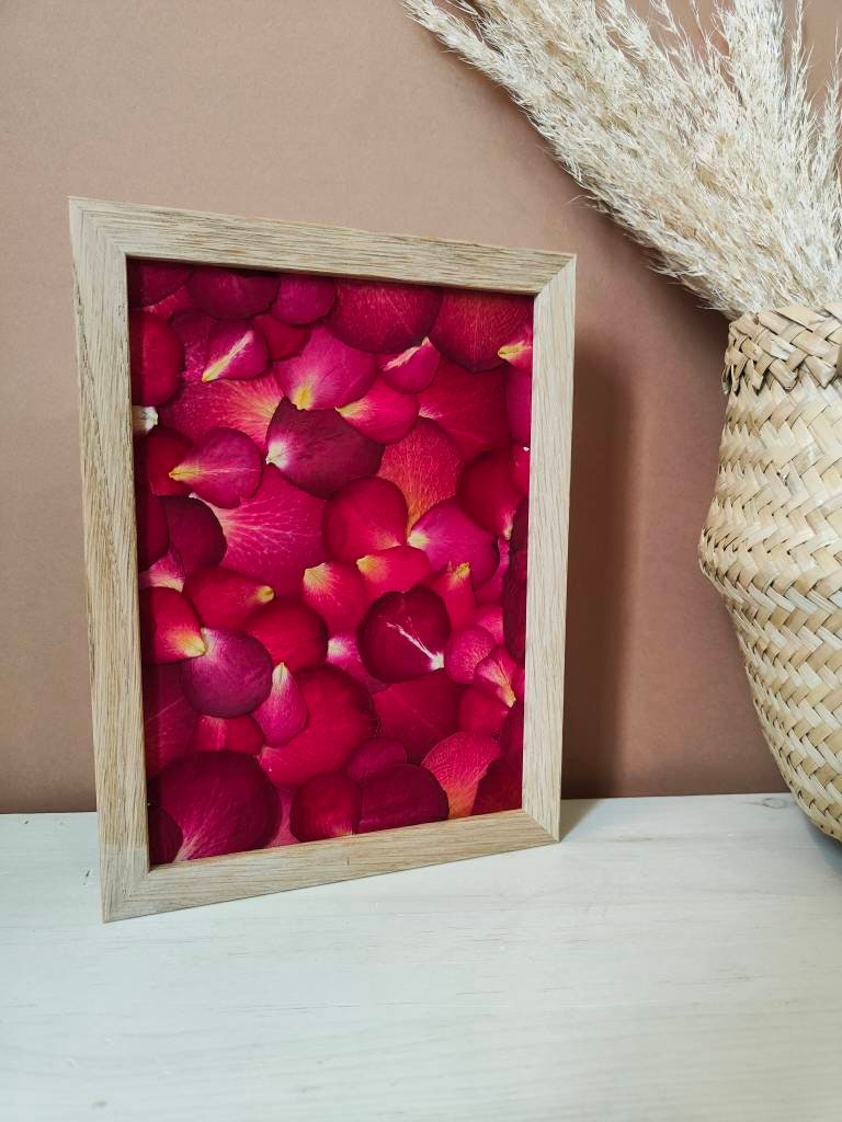 Herbier de Roses/Herbarium Fleurs Pressées Herbier Sechées Saint Valentin Cadeau Valentin