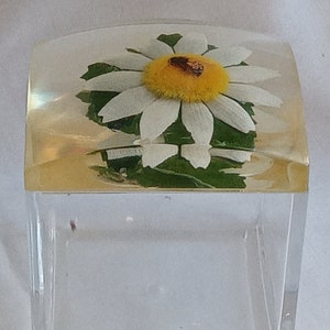 May include: A clear glass box with a square base and a domed top. The top is decorated with a pressed white daisy with a yellow centre and a small brown bug.