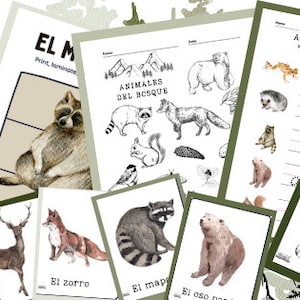 森の動物の印刷可能なワークシートとフラッシュカード（スペイン語）