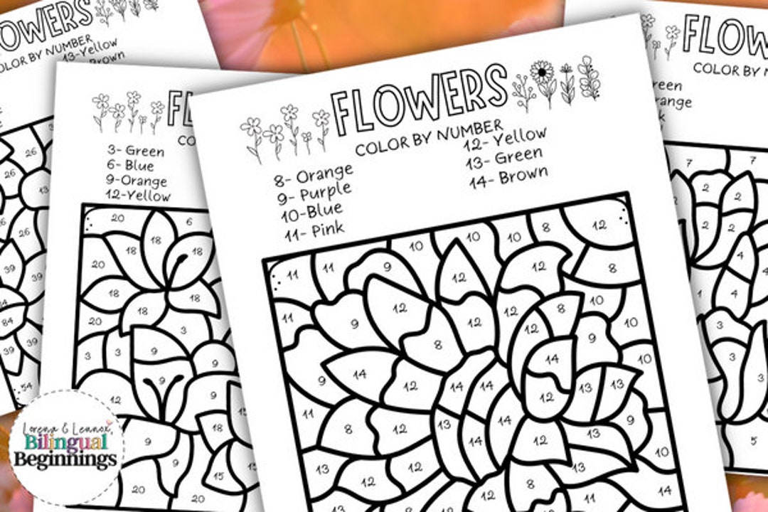 Flower Color by Number Coloring Pages in ENGLISH for Kids - Etsy