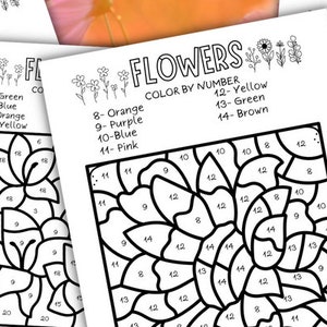 Flower Color by Number Coloring Pages in ENGLISH for Kids