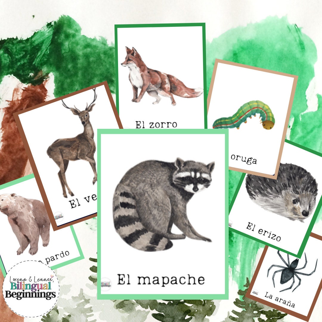 Forest Animal Flashcards in Spanish - Etsy Forest Animal Flashcards in Spanish - Etsy