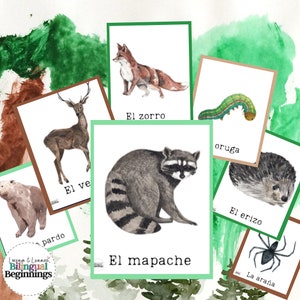 スペイン語の森の動物フラッシュカード