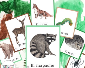 Forest Animal Flashcards in Spanish