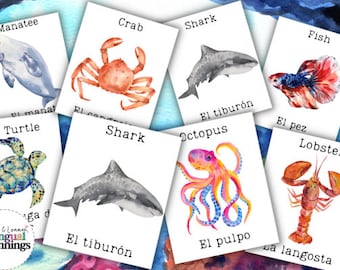 Ocean Animal Flashcards in Spanish