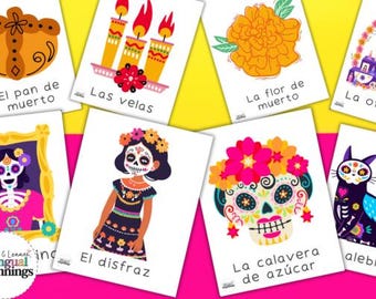 Könnte beinhalten: Ein Satz bunter Lernkarten mit Illustrationen und spanischen und englischen Wörtern zum Thema Tag der Toten. Die Karten zeigen Bilder von einem Zucker Schädel, Kerzen, Ringelblumen, Brot, einem Altar, einer Katze und einer Person im Kostüm.