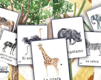 zoo safari animals flashcards in spanish etsy