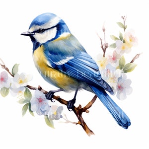 Garden Birds Clipart - 10 Blue Tit Birds, High Quality Downloadable JPGs - Printable Digital Art Pack, Card Making, Paper Craft, Prints