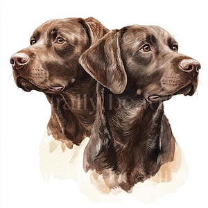 12 x Two Chocolate Labradors Clipart Bundle - High Quality JPGs - Watercolor Printable Choc Lab Dog Prints, Digital Download Art, Cards