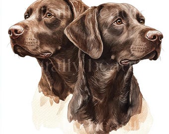 12 x Two Chocolate Labradors Clipart Bundle - High Quality JPGs - Watercolor Printable Choc Lab Dog Prints, Digital Download Art, Cards