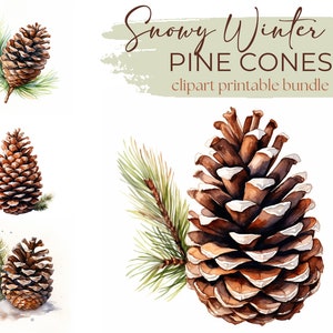 Snowy Pine Cones Downloadable Clipart - 10 JPGs - Downloadable Printable Flowers Digital Art Pack, Card Making, Craft