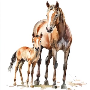 10 x Horse & Foal Clipart - High Quality JPG Bundle - Beautiful Mare and Foal Watercolour Art, Printable Digital Download, Cards Cardmaking