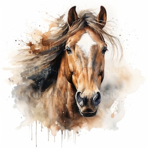 Horse Portrait Clipart - 12 High Quality Downloadable JPGs - Printable Digital Art Pack, Card Making, Paper Craft, Prints
