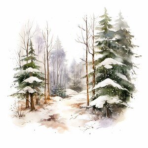 Snowy Winter Woodland Scenes - 12 High Quality Downloadable Jpgs ...