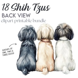 18 x Shih Tzu Clipart Bundle - aquarelle JPG de haute qualité, téléchargement numérique imprimable - vue arrière du chien, face à la route, journal indésirable