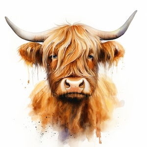 Highland Cows Clipart - 12 High Quality Downloadable JPGs - Watercolour Digital Art Pack - Card Making, Paper Craft, Digital Prints