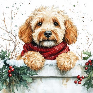 Può includere: Un cane marrone chiaro con una sciarpa rossa sporge da una recinzione ricoperta di neve con agrifoglio e bacche rosse su entrambi i lati.