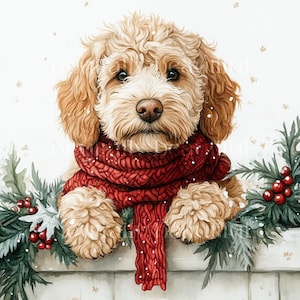 12 x Labradoodle Dogs at Christmas Clipart Bundle - High Quality JPGs Labrador x Poodle Dog Holidays Digital Download Art Christmas Cards
