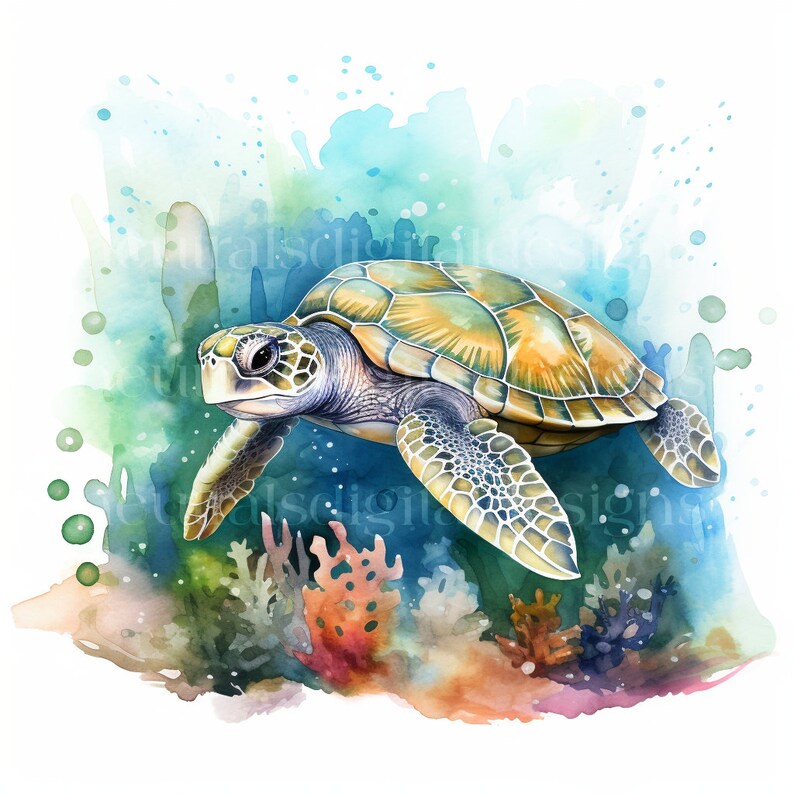 Under The Sea Animals Clipart 18 High Quality Jpgs Downloadable Digital Under the sea animals clipart 18 high quality jpgs downloadable digital