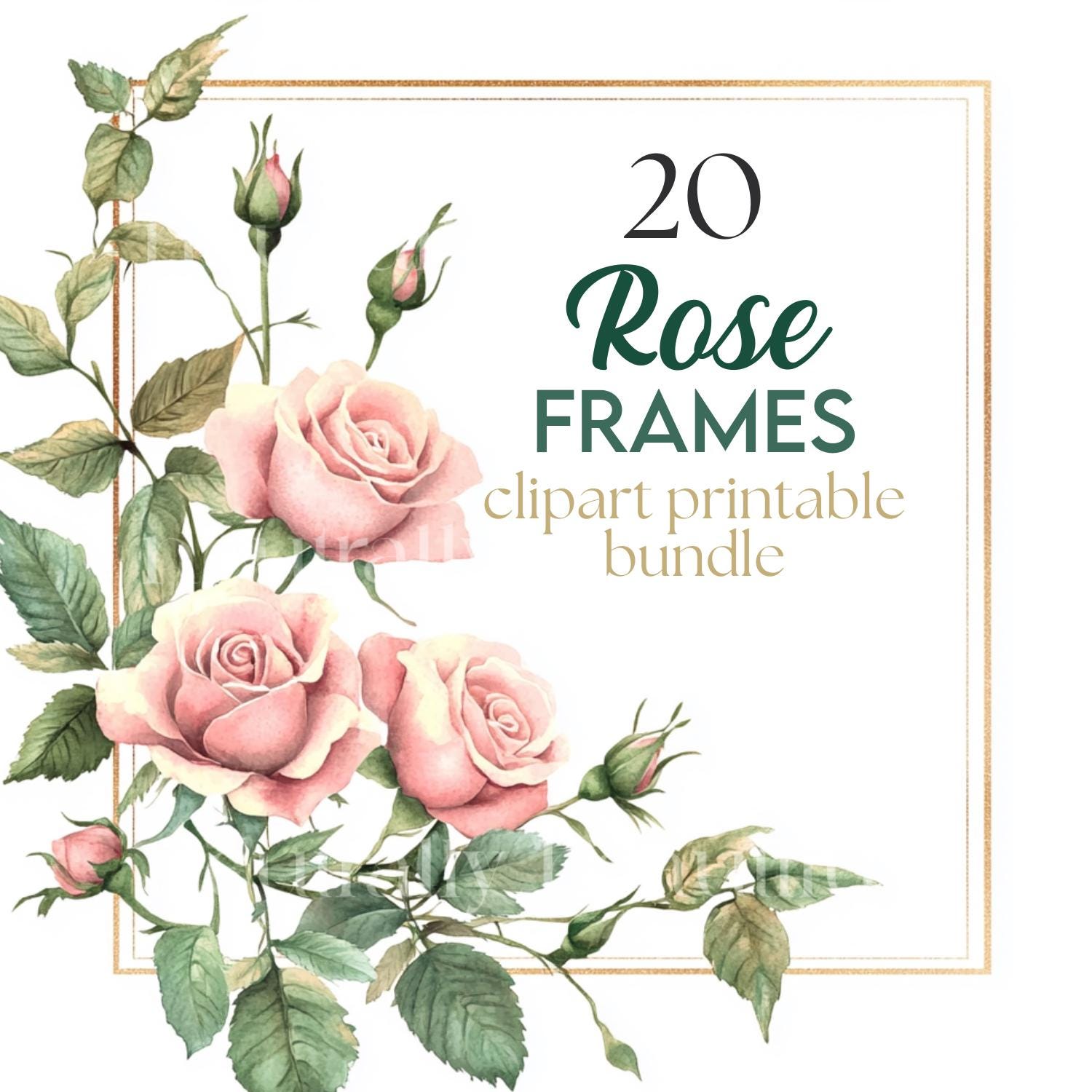 20 x Roses & Gold Frames Clipart Bundle - High Quality JPGs - Watercolour Decorative Invitation/Paper Frame Border Digital Art Pack