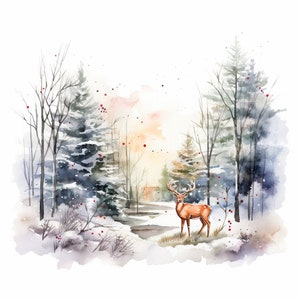 Snowy Winter Woodland Scenes 12 High Quality Downloadable Jpgs ...