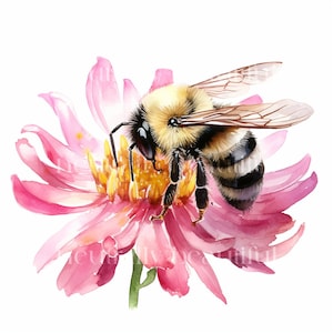 10 Watercolour Bee Clipart - Bees on Flowers, High Quality JPG Downloads - Printable Digital Art, Crafts, Cardmaking, Prints, Bumblebees
