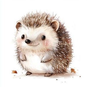 10 x Cute Baby Hedgehogs Clipart Bundle - High Quality JPGs - Woodland Hedgehog Baby Themed Printable Digital Download Art, Cardmaking