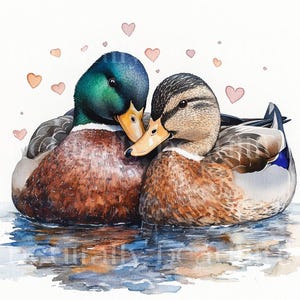 10 x Ducks & Hearts Clipart Bundle - High Quality JPGs - Romantic Valentine's Mallard Birds Couples Printable Download Art, Cardmaking