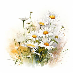Wild Daisies Downloadable Clipart - 12 High Quality JPGs - Downloadable Printable Flowers Watercolour Digital Art Pack, Card Making, Prints