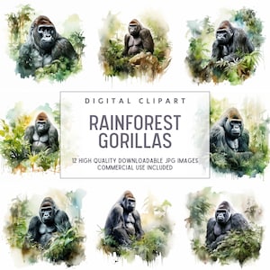 Puede incluir: Conjunto de clipart digital de 12 imágenes de alta calidad que presentan ilustraciones de acuarela de gorilas en un entorno de selva tropical. Los gorilas se representan en varias poses, rodeados de exuberante vegetación. Las imágenes son perfectas para uso comercial.