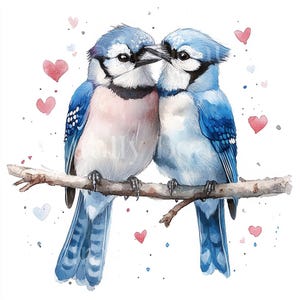 10 x Blue Jays & Hearts Clipart Bundle - High Quality JPGs - Romantic Valentine's Wild Birds Couples Printable Download Art, Cardmaking