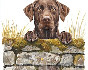 12 x Peeping Chocolate Labradors Clipart Bundle - High Quality JPGs - Watercolor Printable Choc Lab Dog Prints, Digital Download Art