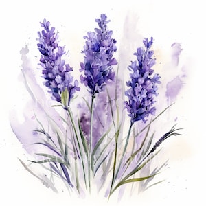 Pretty Watercolour Lavender Downloadable Clipart - 10 JPGs - Downloadable Printable Flowers Digital Art Pack, Card Making, Craft
