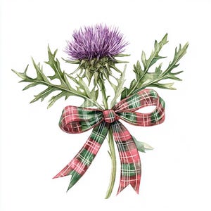 10 x Tartan Thistles Clipart Bundle - High Quality JPGs - New Year&#39;s Eve/Hogmanay, Festive Scottish Flower, Printable Digital Download Art