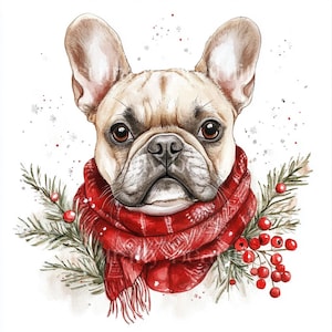 12 x French Bulldogs at Christmas Clipart Bundle - High Quality Festive Frenchies Dog Prints, Holidays Printable Download Christmas Cards