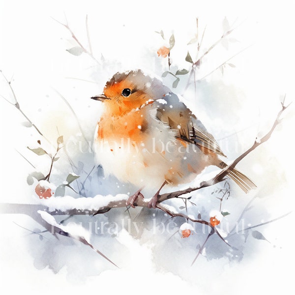 Cute Cartoon Snowy Robin Watercolour Clipart - 12 High Quality Downloadable JPGs - Christmas Printable Digital Art, Crafts, Cardmaking