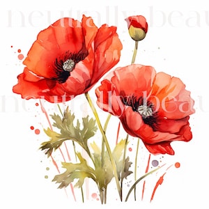 Summer Poppies - 12 High Quality Downloadable JPGs - Flower Clipart Prints, Printable Digital Art, Crafts, Cardmaking, Prints