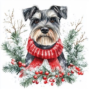 Puede incluir: Una pintura de acuarela de un perro schnauzer miniatura con una bufanda roja y blanca a rayas. El perro está rodeado de ramas de pino verdes con bayas rojas y nieve blanca.