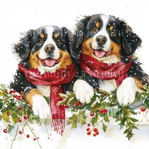 12 x Bernese Mountain Dogs at Christmas Clipart Bundle - High Quality JPGs Bernese Dog Prints, Holidays Digital Download Art Christmas Cards
