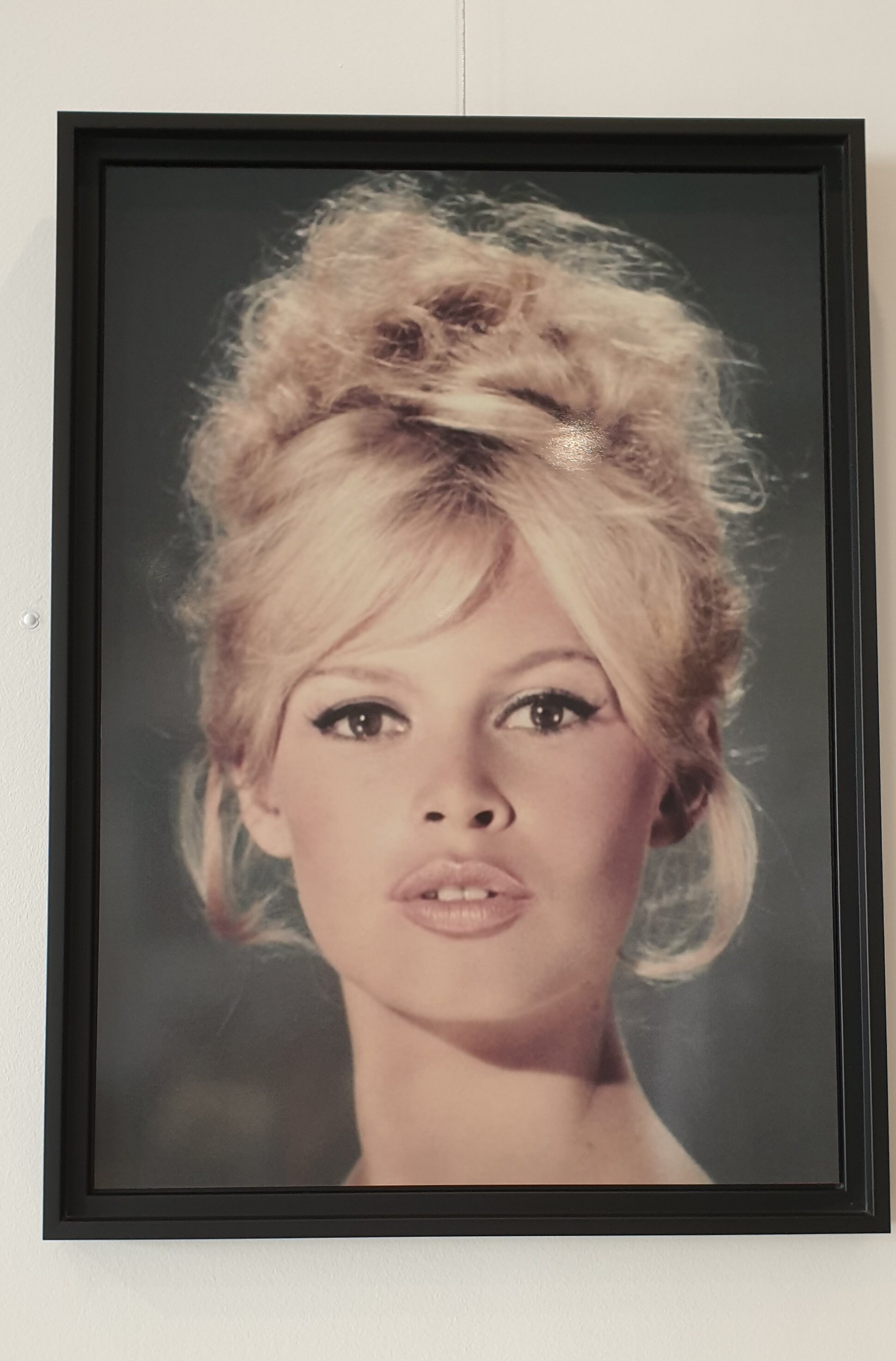 Tableau Brigitte Bardot