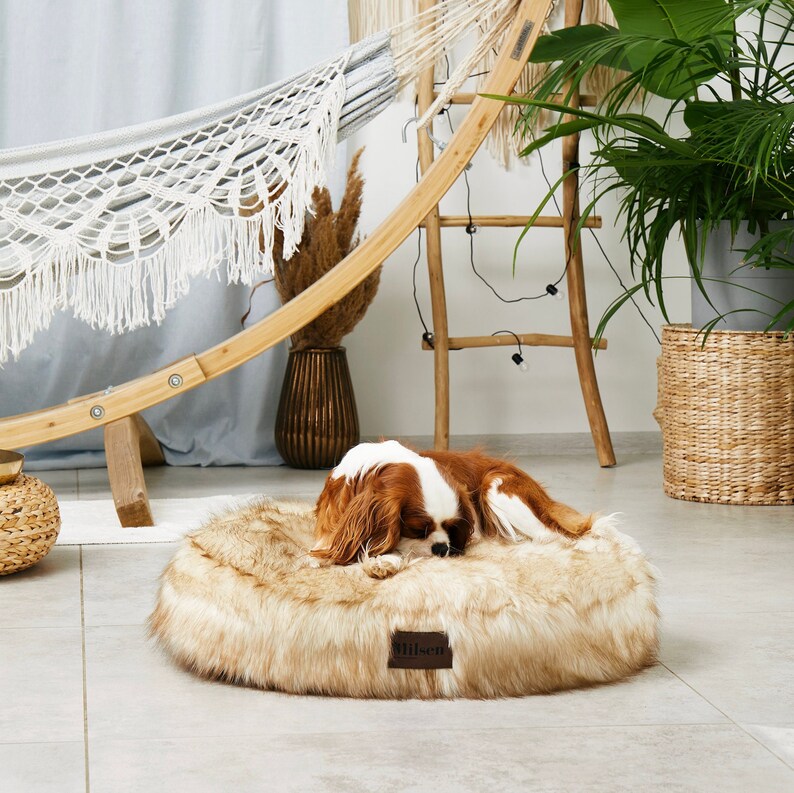May include: A brown faux fur dog bed with a brown leather tag that says "Hillsen". A small dog is sleeping on the bed.