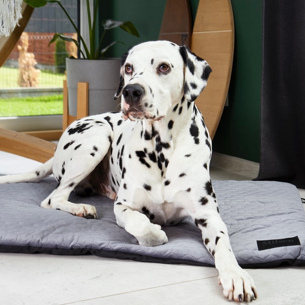 Portable Pet Mat, Dog Crate Mat, Outdoor Dog Bed, Travel Dog Bed, Dog Blanket, Travel Blanket, Travel Cat Bed, Cat Crate Mat, Pet Crate Mat