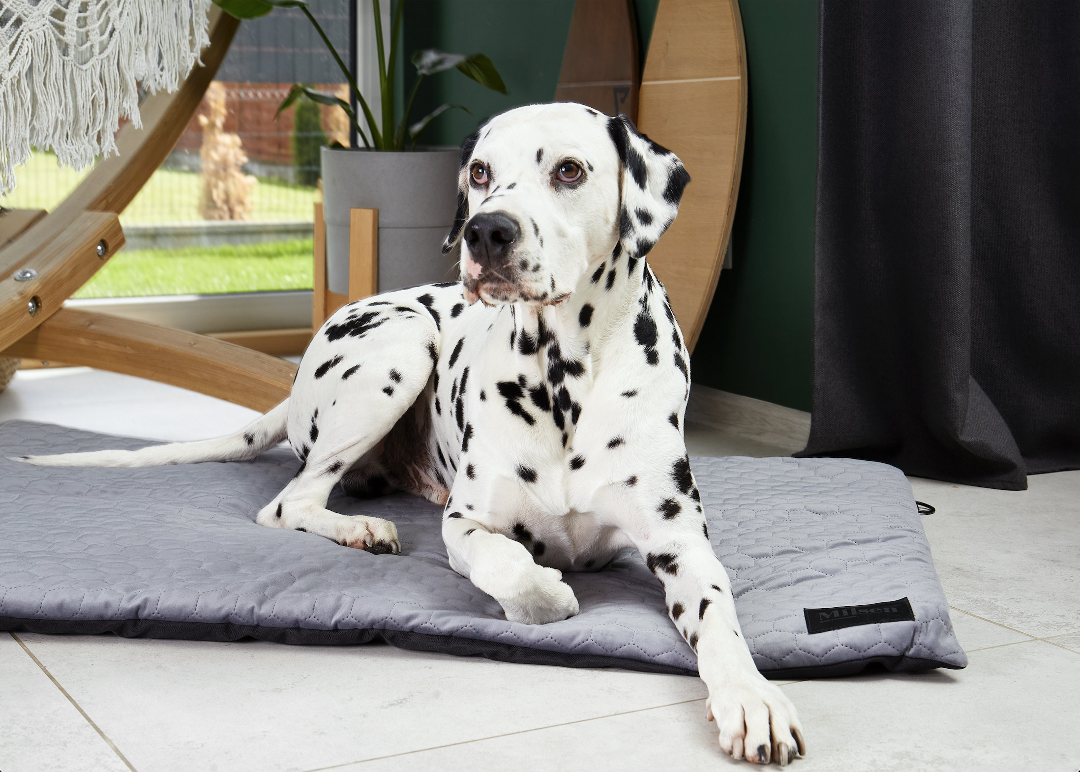 Dog clearance crate blankets