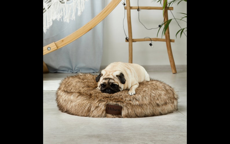 May include: A brown faux fur dog bed with a round shape. A light brown pug dog is lying on the bed. The bed has a brown leather tag with the word "Wilson" on it.