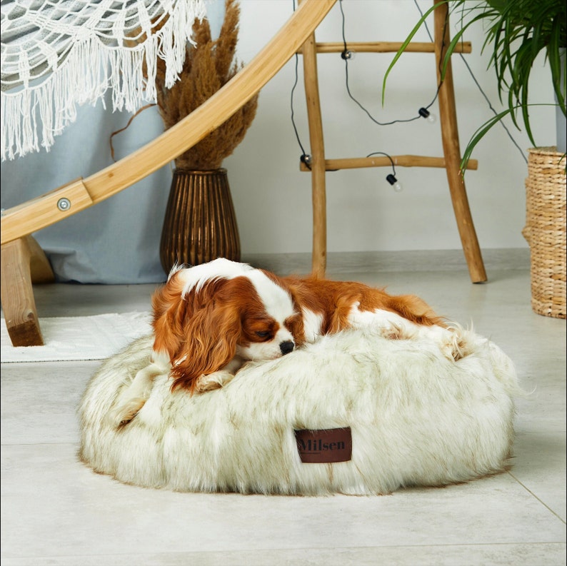 May include: A white and beige faux fur dog bed with a brown leather tag that says "Milsom". A small, brown and white dog is sleeping on the bed.