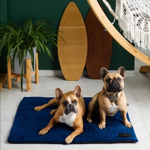 Roll Up Travel Dog Bed: Waterproof Outdoor Pet Mat