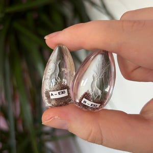 K&ouml;nnte beinhalten: Zwei transparente, tropfenf&ouml;rmige Harzornamente mit Miniatur-Hirschfiguren und dunkelbraunem, strukturiertem Material an der Basis. Jedes St&uuml;ck hat ein kleines wei&szlig;es Etikett mit schwarzem Text, eines mit A - &pound;30 und das andere B - &pound;33.