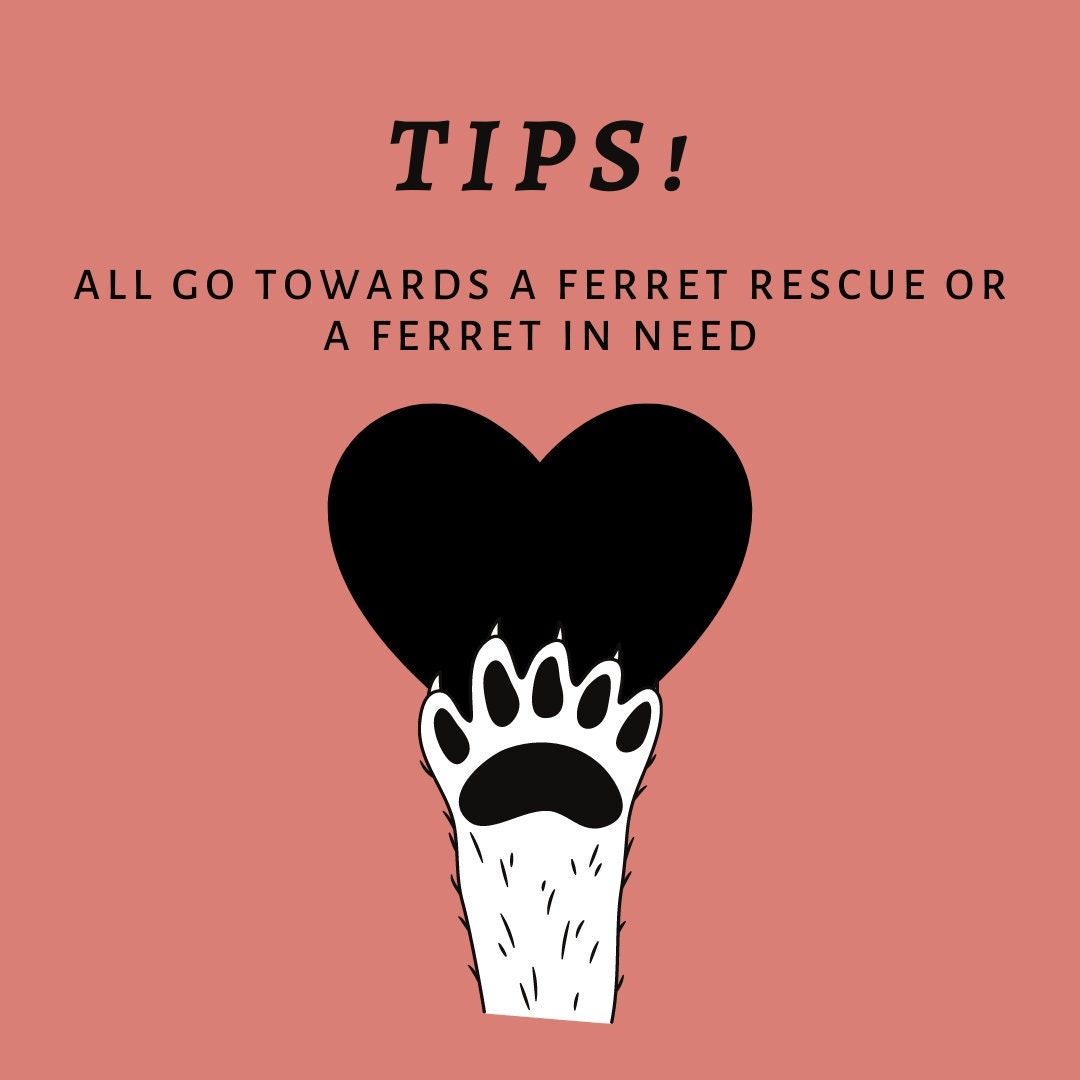 Ferret Tips Tips - for Ferrets in Need - Etsy