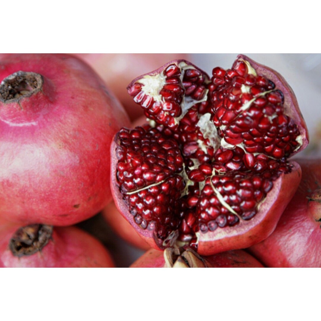 Parfianka Pomegranate Tree Best Pomegranate Variety in the World Soft