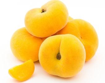 5+ Feet Tall Yellow Donut Nectarine Hybrid Fruit Tree